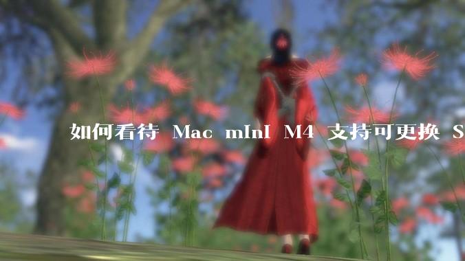 如何看待 Mac mini M4 支持可更换 SSD？