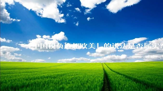 「中国税负远超欧美」的说法是否属实？